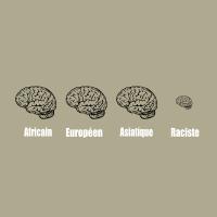 Cerveau humain