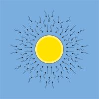 Sex and sun