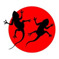 lezard martio
