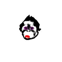 test sur singe