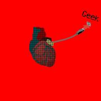 Geek