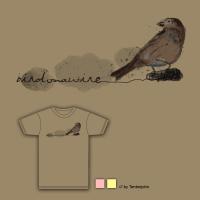 Bird On A Wire