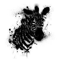 zebre