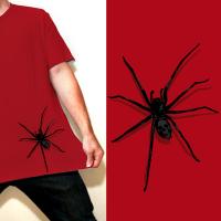 Spider color