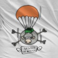 Descente de Moutons