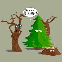 Sapin VS nudiste