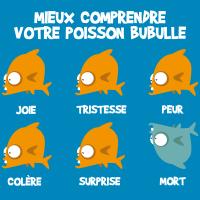 Mieux comprendre votre poisson bubulle