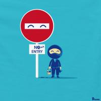 Like a Ninja