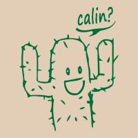 Calin