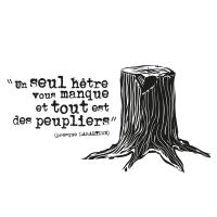 hêtre ou ne pas...