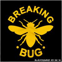 Breaking bug