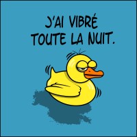 canard vibrant