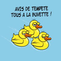 Avis de tempete