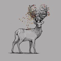 Nature morte