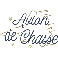 Avion de chasse