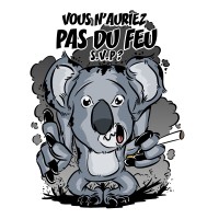 DU FEU S.V.P