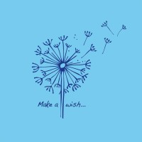 Make a wish