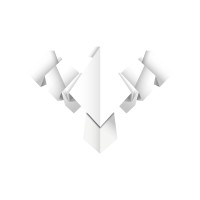 Aigle-Origami