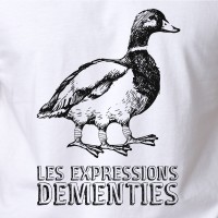Expression démentie 1