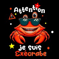 Je suis exécrabe 