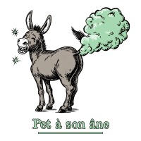 Pet à son âne