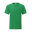 MDR Kelly Green